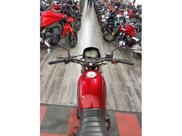 BENELLI LEONCINO 500